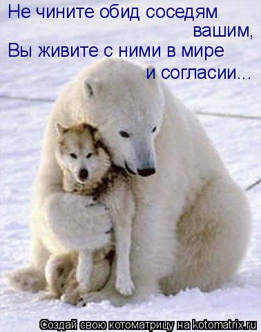 Не чините обид соседям вашим, Вы живите с ними в мире и согласии...... Котоматрица: Не чините обид соседям вашим, Вы живите с ними в мире и согласии...