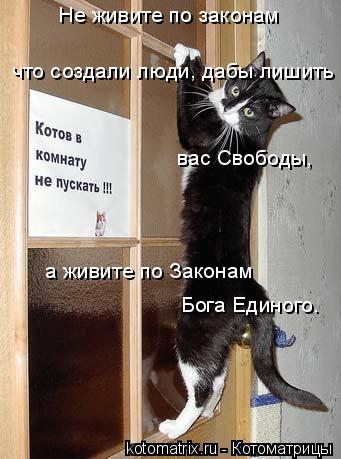 Не живите по законам что создали люди, дабы лишить вас Свободы, а живите по Законам Бога Единого.... Котоматрица: Не живите по законам что создали люди, дабы лишить вас Свободы, а живите по Законам Бога Единого.