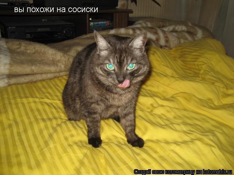 вы похожи на сосиски... Котоматрица: вы похожи на сосиски