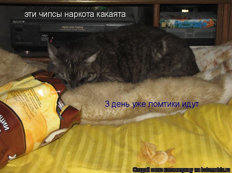 эти чипсы наркота какаята 3 день уже ломтики идут... Котоматрица: эти чипсы наркота какаята 3 день уже ломтики идут