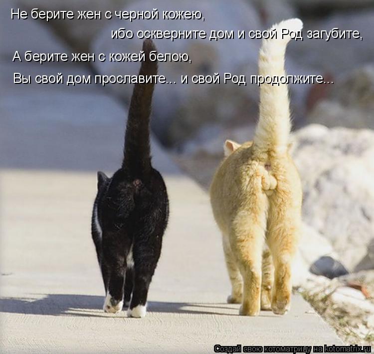 Не берите жен с черной кожею, ибо оскверните дом и свой Род загубите, А берите жен с кожей белою, В... Котоматрица: Не берите жен с черной кожею, ибо оскверните дом и свой Род загубите, А берите жен с кожей белою, Вы свой дом прославите... и свой Род продолж