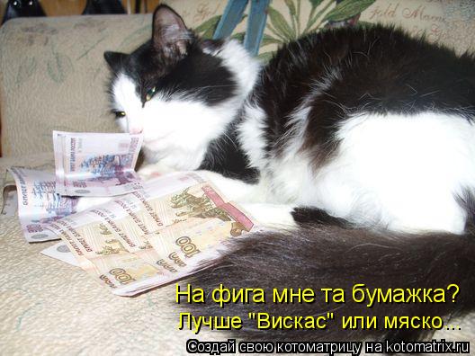 На фига мне та бумажка? Лучше "Вискас" или мяско...... Котоматрица: На фига мне та бумажка? Лучше "Вискас" или мяско...