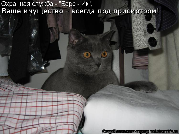 Охранная служба - "Барс - Ик". Ваше имущество - всегда под присмотром!... Котоматрица: Охранная служба - "Барс - Ик". Ваше имущество - всегда под присмотром!