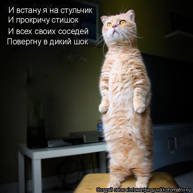 И встану я на стульчик И всех своих соседей Повергну в дикий шок И прокричу стишок... Котоматрица: И встану я на стульчик И всех своих соседей Повергну в дикий шок И прокричу стишок
