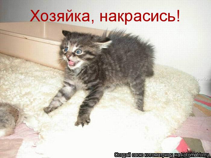Хозяйка, накрасись!... Котоматрица: Хозяйка, накрасись!