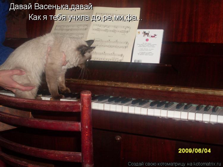 Давай Васенька,давай Как я тебя учила до,ре,ми,фа...... Котоматрица: Давай Васенька,давай Как я тебя учила до,ре,ми,фа...