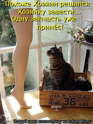 -Похоже Хозяин решился Хозяйку завести... Одну запчасть уже принёс!... Котоматрица: -Похоже Хозяин решился Хозяйку завести... Одну запчасть уже принёс!