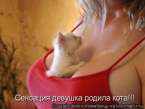 Сенсация девушка родила кота!!!... Котоматрица: Сенсация девушка родила кота!!!