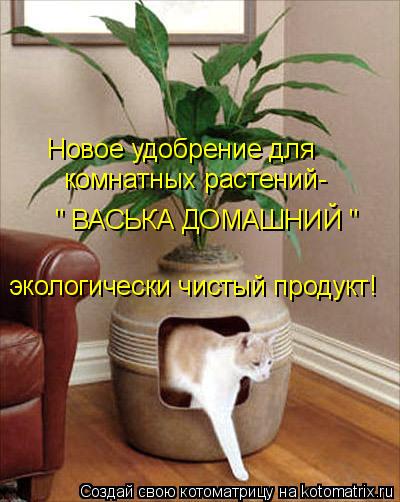 Новое удобрение для комнатных растений- " ВАСЬКА ДОМАШНИЙ " экологически чистый продукт!... Котоматрица: Новое удобрение для комнатных растений- " ВАСЬКА ДОМАШНИЙ " экологически чистый продукт!