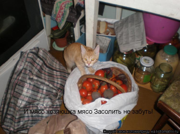 И мясо хозяюшка мясо Засолить не забуть!... Котоматрица: И мясо хозяюшка мясо Засолить не забуть!