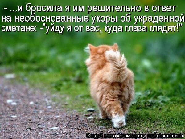 - ...и бросила я им решительно в ответ на необоснованные укоры об украденной сметане: -"уйду я от в... Котоматрица: - ...и бросила я им решительно в ответ на необоснованные укоры об украденной сметане: -"уйду я от вас, куда глаза глядят!"