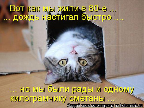 Вот как мы жили в 80-е ... ... дождь настигал быстро .... ... но мы были рады и одному килограмчику с... Котоматрица: Вот как мы жили в 80-е ... ... дождь настигал быстро .... ... но мы были рады и одному килограмчику сметаны ...