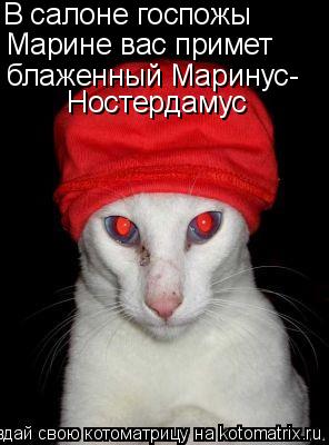 В салоне госпожы Марине вас примет блаженный Маринус- Ностердамус... Котоматрица: В салоне госпожы Марине вас примет блаженный Маринус- Ностердамус