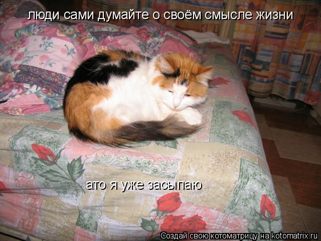 люди сами думайте о своём смысле жизни ато я уже засыпаю... Котоматрица: люди сами думайте о своём смысле жизни ато я уже засыпаю