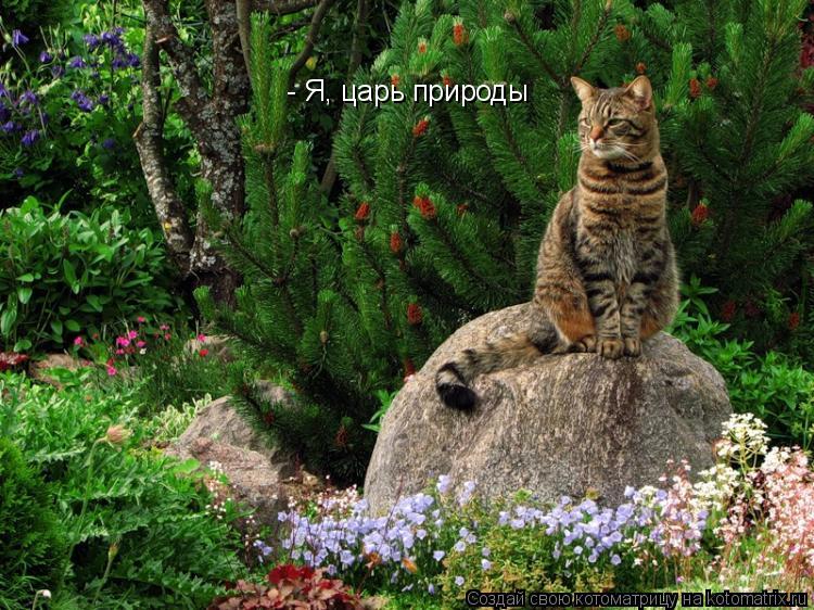- Я, царь природы... Котоматрица: - Я, царь природы