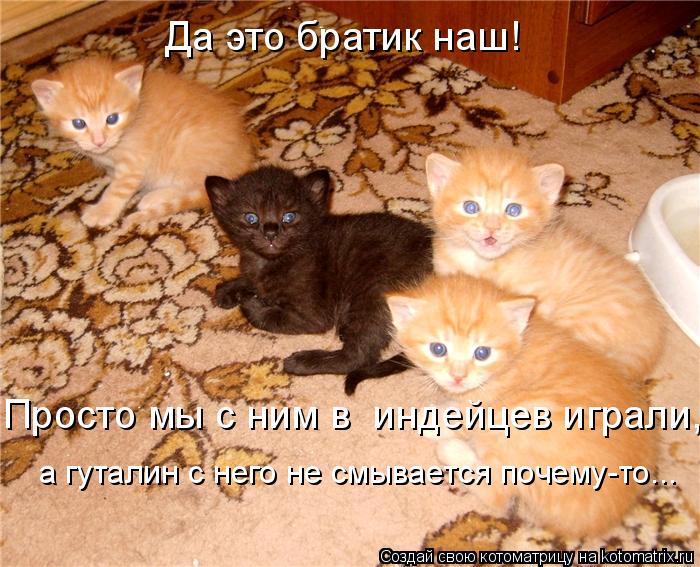 Да это братик наш! Просто мы с ним в индейцев играли, а гуталин с него не смывается почему-то...... Котоматрица: Да это братик наш! Просто мы с ним в индейцев играли, а гуталин с него не смывается почему-то...