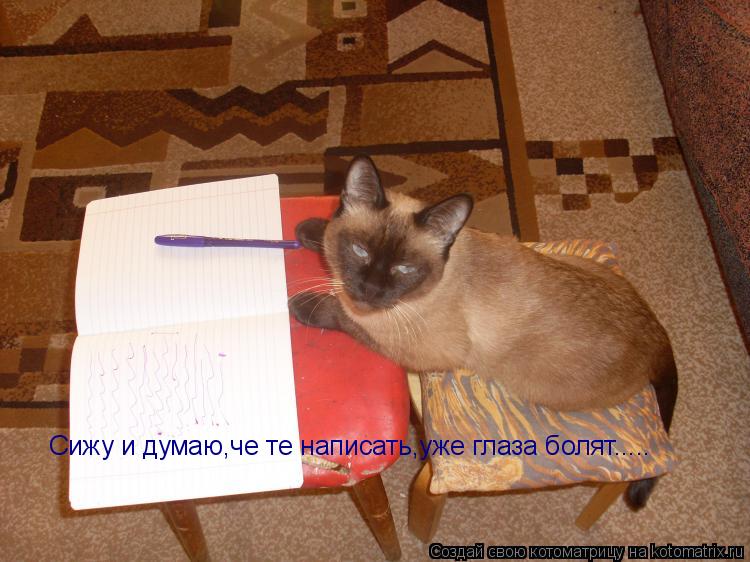 Котоматрица: Сижу и думаю,че те написать,уже глаза болят.....