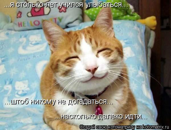 ...насколько далеко идти... ...я столько лет учился улыбаться... ...штоб никому не догадаться...... Котоматрица: ...насколько далеко идти... ...я столько лет учился улыбаться... ...штоб никому не догадаться...