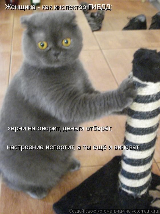 Женщина - как инспектор ГИБДД: херни наговорит, деньги отберёт, настроение испортит, а ты ещё и винов... Котоматрица: Женщина - как инспектор ГИБДД: херни наговорит, деньги отберёт, настроение испортит, а ты ещё и виноват.