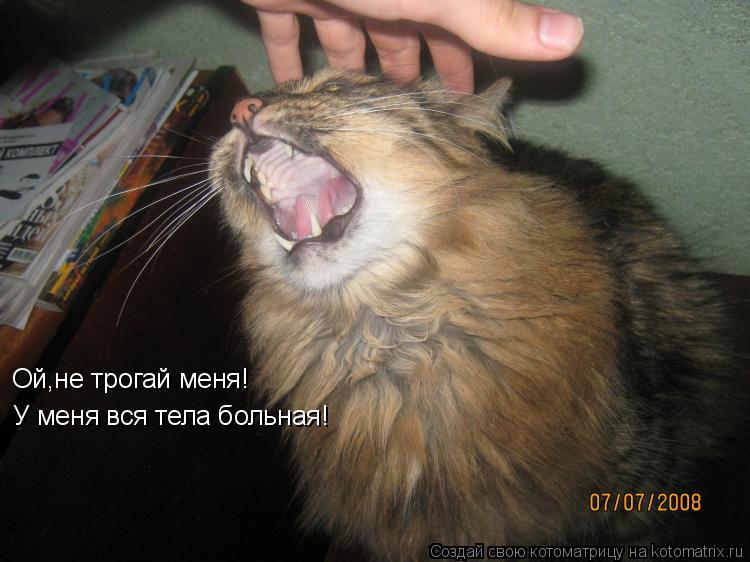 Ой,не трогай меня! У меня вся тела больная!... Котоматрица: Ой,не трогай меня! У меня вся тела больная!