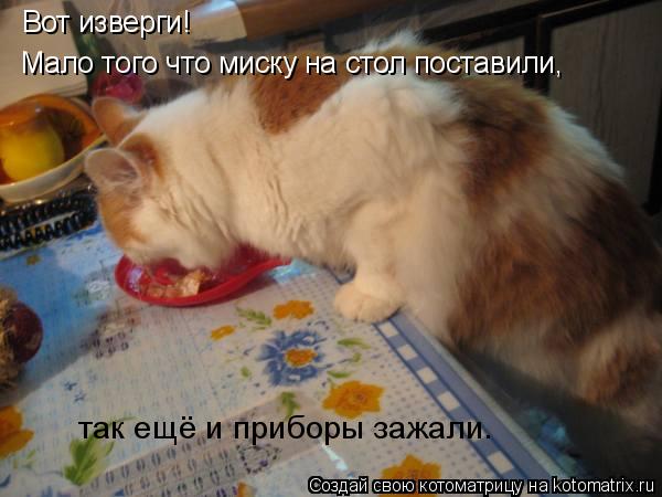 Вот изверги! Мало того что миску на стол поставили, так ещё и приборы зажали.... Котоматрица: Вот изверги! Мало того что миску на стол поставили, так ещё и приборы зажали.