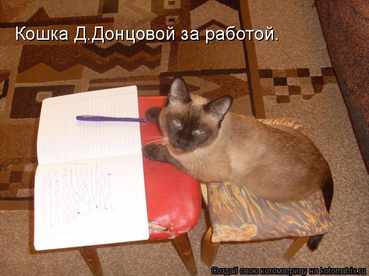 Кошка Д.Донцовой за работой.... Котоматрица: Кошка Д.Донцовой за работой.