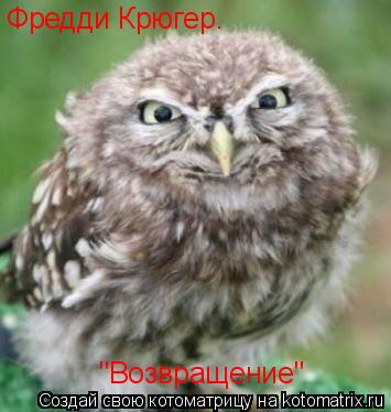 Фредди Крюгер. "Возвращение"... Котоматрица: Фредди Крюгер. "Возвращение"