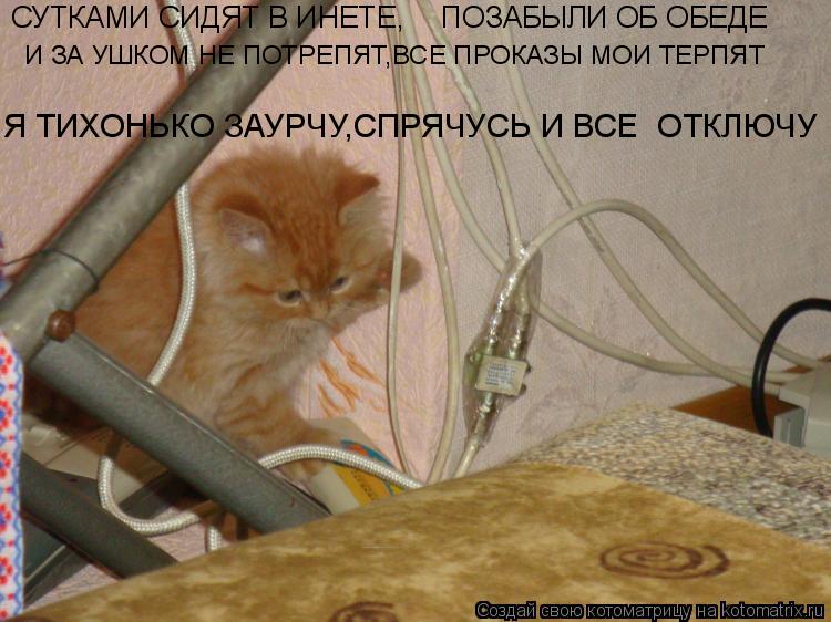 Я ТИХОНЬКО ЗАУРЧУ,СПРЯЧУСЬ И ВСЕ ОТКЛЮЧУ ПОЗАБЫЛИ ОБ ОБЕДЕ СУТКАМИ СИДЯТ В ИНЕТЕ, И ЗА УШКОМ НЕ ПОТР... Котоматрица: Я ТИХОНЬКО ЗАУРЧУ,СПРЯЧУСЬ И ВСЕ ОТКЛЮЧУ ПОЗАБЫЛИ ОБ ОБЕДЕ СУТКАМИ СИДЯТ В ИНЕТЕ, И ЗА УШКОМ НЕ ПОТРЕПЯТ,ВСЕ ПРОКАЗЫ МОИ ТЕРПЯТ