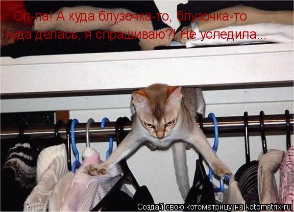 Оп-па! А куда блузочка-то, блузочка-то куда делась, я спрашиваю?! Не уследила...... Котоматрица: Оп-па! А куда блузочка-то, блузочка-то куда делась, я спрашиваю?! Не уследила...