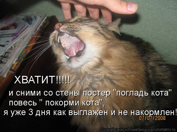 Котоматрица: ХВАТИТ!!!!! и сними со стены постер "погладь кота" повесь " покорми кота",  я уже 3 дня как выглажен и не накормлен!