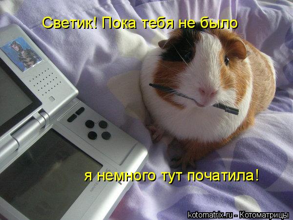 Котоматрица: Светик! Пока тебя не было я немного тут початила!