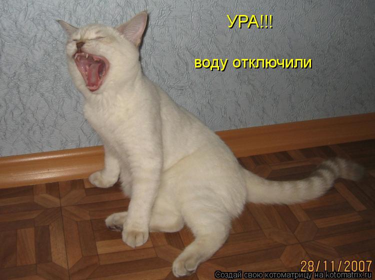 Котоматрица: воду отключили УРА!!!