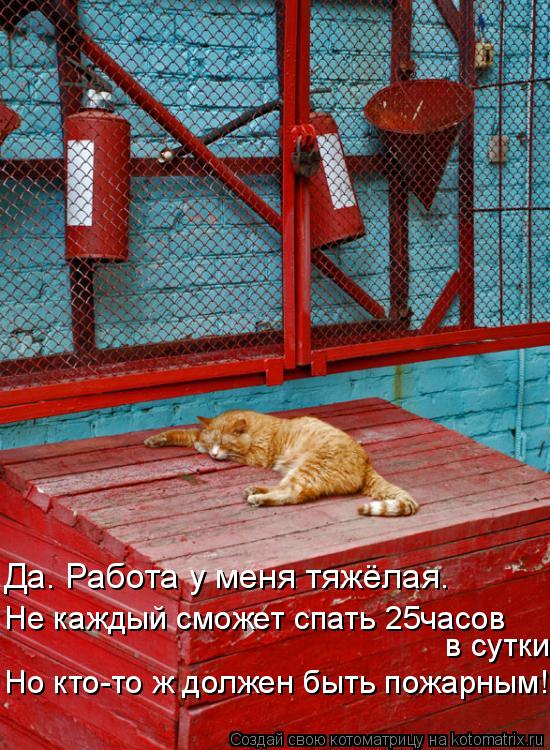 Да. Работа у меня тяжёлая. Не каждый сможет спать 25часов в сутки Но кто-то ж должен быть пожарным!... Котоматрица: Да. Работа у меня тяжёлая. Не каждый сможет спать 25часов в сутки Но кто-то ж должен быть пожарным!