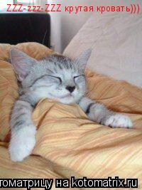 Котоматрица: ZZZ-zzz-ZZZ крутая кровать)))