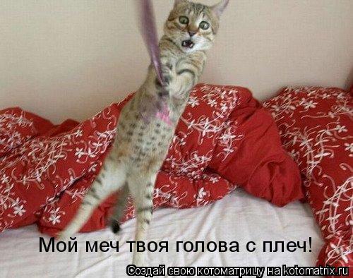 Котоматрица: Мой меч твоя голова с плеч!