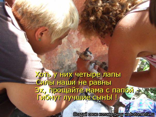 Хоть у них четыре лапы Силы наши не равны Эх, прощайте мама с папой - Гибнут лучшие сынЫ !... Котоматрица: Хоть у них четыре лапы Силы наши не равны Эх, прощайте мама с папой - Гибнут лучшие сынЫ !