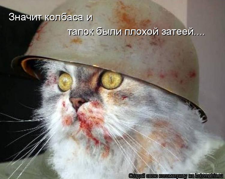 Котоматрица: Значит колбаса и тапок были плохой затеей....