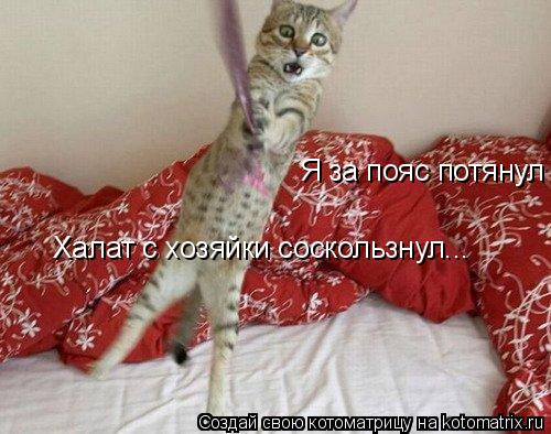 Котоматрица: Я за пояс потянул Халат с хозяйки соскользнул...