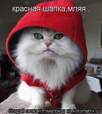 красная шапка,мляя..... Котоматрица: красная шапка,мляя..