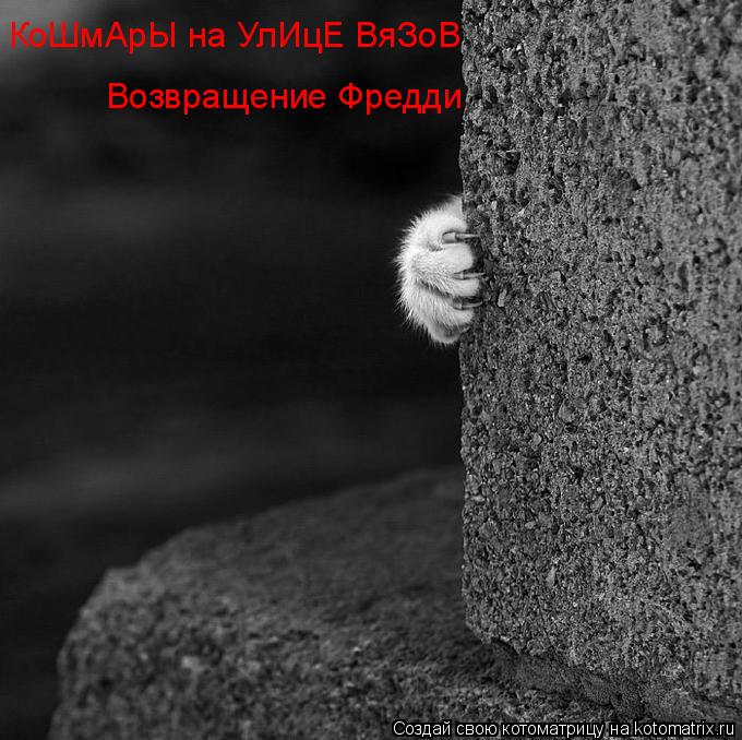 КоШмАрЫ на УлИцЕ ВяЗоВ Возвращение Фредди... Котоматрица: КоШмАрЫ на УлИцЕ ВяЗоВ Возвращение Фредди