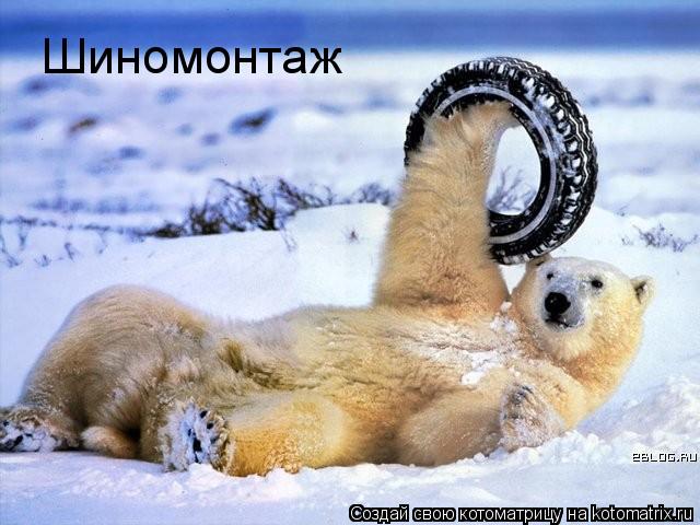 Шиномонтаж... Котоматрица: Шиномонтаж