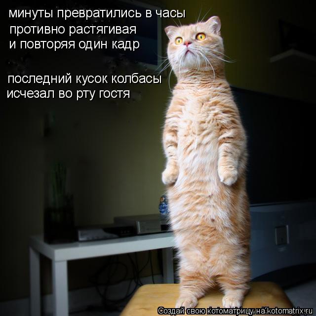 минуты превратились в часы противно растягивая и повторяя один кадр последний кусок колбасы исчезал в... Котоматрица: минуты превратились в часы противно растягивая и повторяя один кадр последний кусок колбасы исчезал во рту гостя