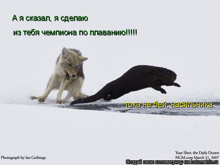 А я сказал, я сделаю из тебя чемпиона по плаванию!!!!! тока не бей, насяльника... Котоматрица: А я сказал, я сделаю из тебя чемпиона по плаванию!!!!! тока не бей, насяльника