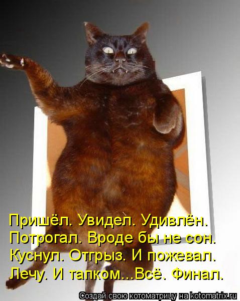 Пришёл. Увидел. Удивлён. Потрогал. Вроде бы не сон. Куснул. Отгрыз. И пожевал. Лечу. И тапком...Всё. ... Котоматрица: Пришёл. Увидел. Удивлён. Потрогал. Вроде бы не сон. Куснул. Отгрыз. И пожевал. Лечу. И тапком...Всё. Финал.