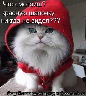 Что смотриш? красную шапочку никгда не видел???... Котоматрица: Что смотриш? красную шапочку никгда не видел???