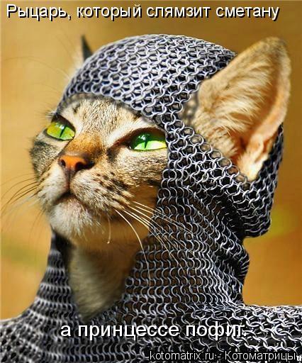 Рыцарь, который слямзит сметану а принцессе пофиг.... Котоматрица: Рыцарь, который слямзит сметану а принцессе пофиг.
