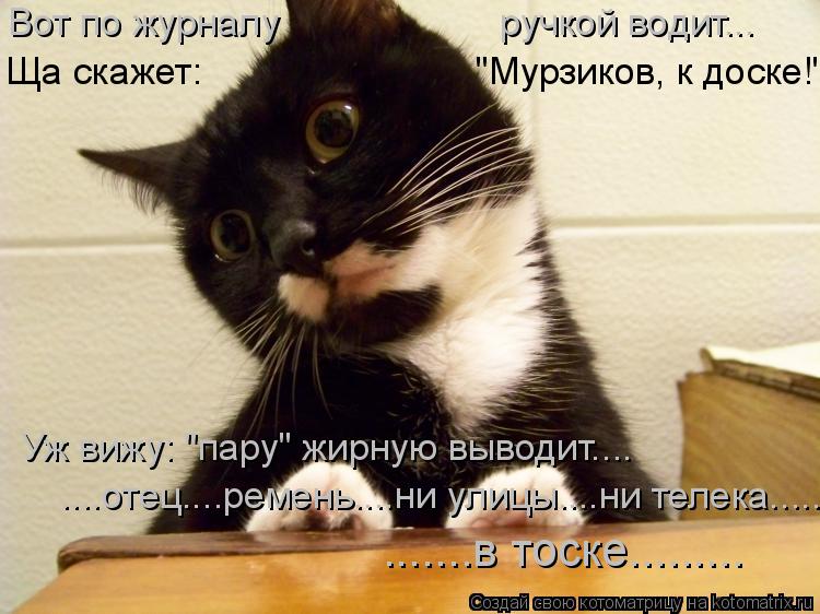 Вот по журналу ручкой водит... Ща скажет: "Мурзиков, к д... Котоматрица: Вот по журналу ручкой водит... Ща скажет: "Мурзиков, к доске!" Уж вижу: "пару" жирную выводит.... ....оте