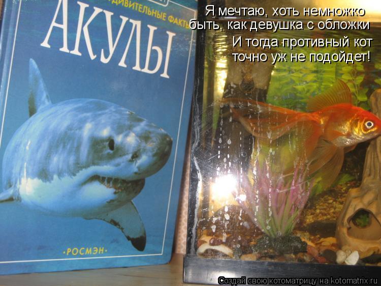 Я мечтаю, хоть немножко быть, как девушка с обложки точно уж не подойдет! И тогда противный кот... Котоматрица: Я мечтаю, хоть немножко быть, как девушка с обложки точно уж не подойдет! И тогда противный кот