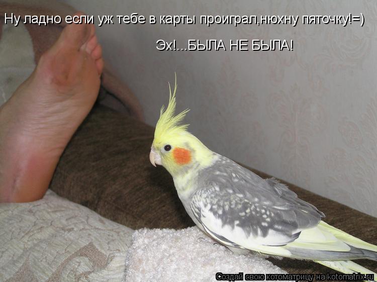 Ну ладно если уж тебе в карты проиграл,нюхну пяточку!=) Эх!...БЫЛА НЕ БЫЛА!... Котоматрица: Ну ладно если уж тебе в карты проиграл,нюхну пяточку!=) Эх!...БЫЛА НЕ БЫЛА!