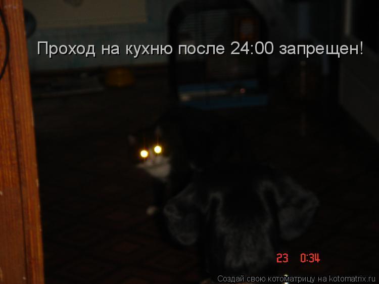 Проход на кухню после 24:00 запрещен!... Котоматрица: Проход на кухню после 24:00 запрещен!